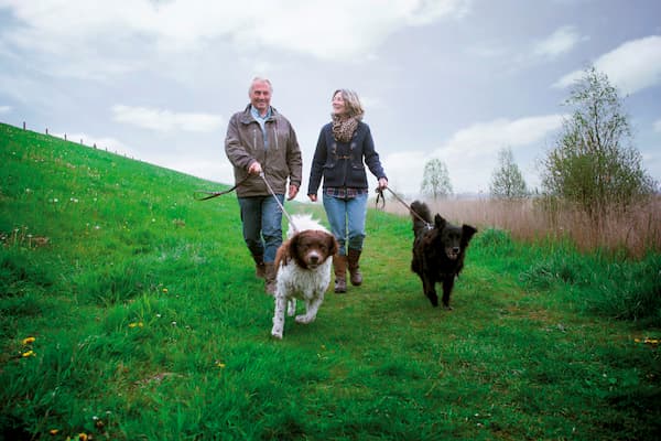 Vandaag wandel ik in Reeve